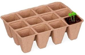 Descripción de la imagen