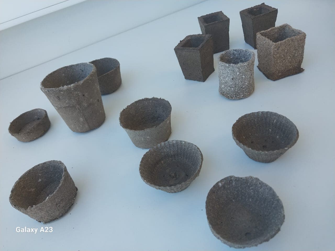 Descripción de la imagen