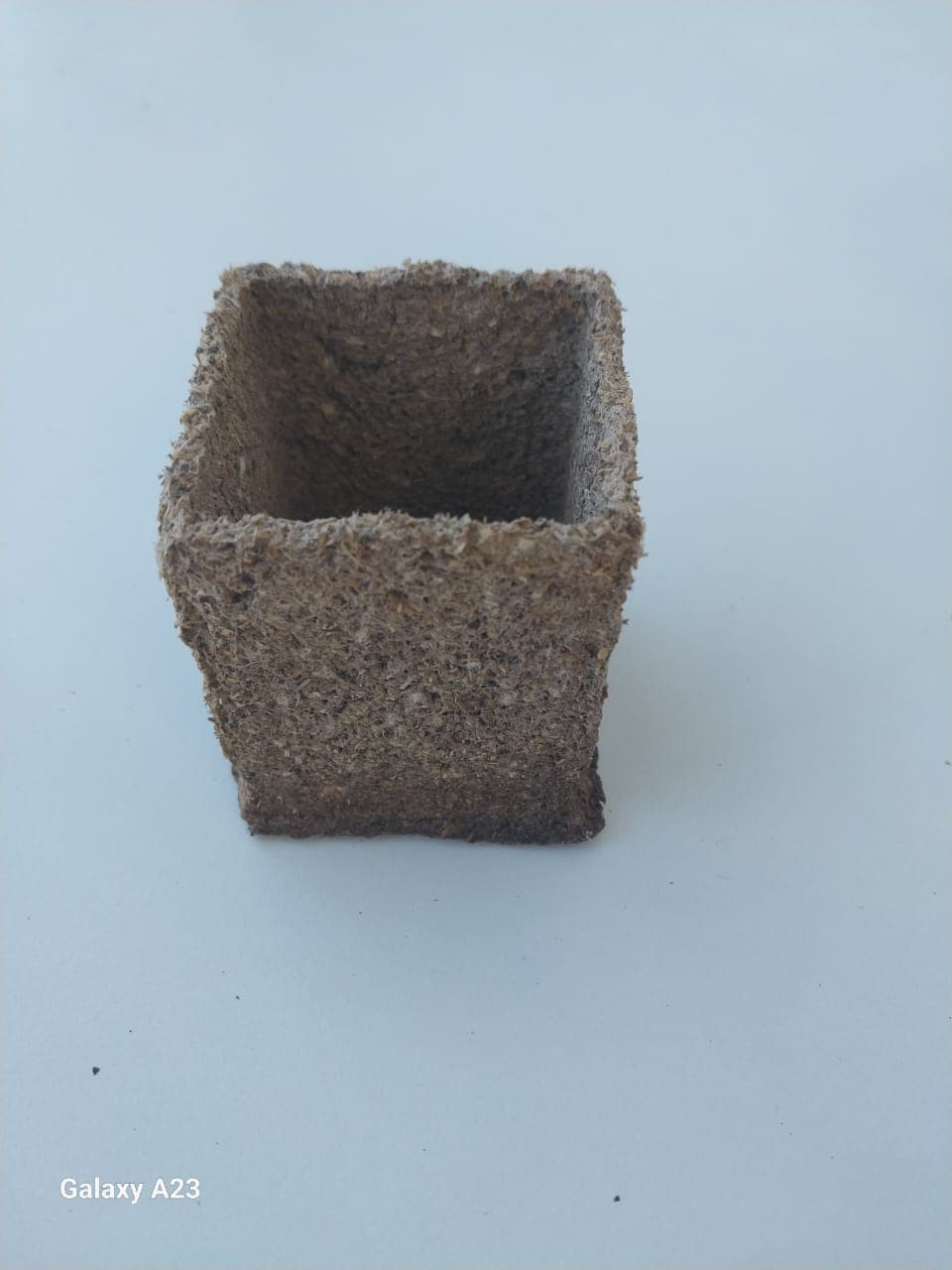 Descripción de la imagen