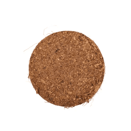 pastilla de estiercol